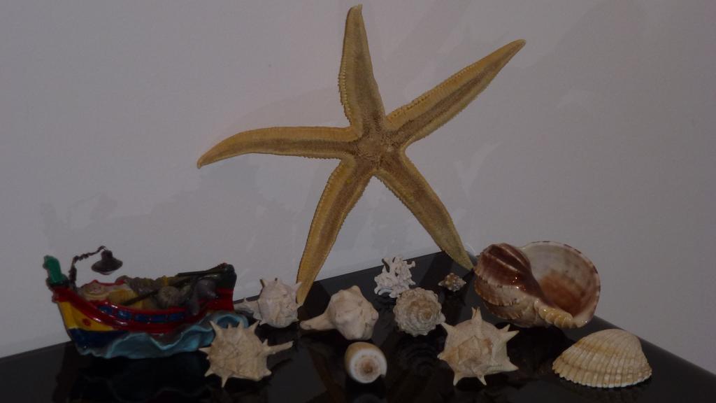Sea Star Apartment Cefalu Ruang foto